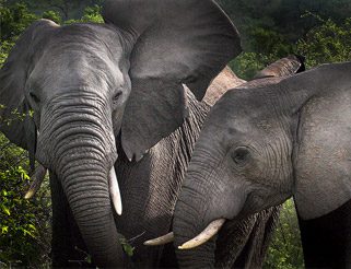 Organizations background image