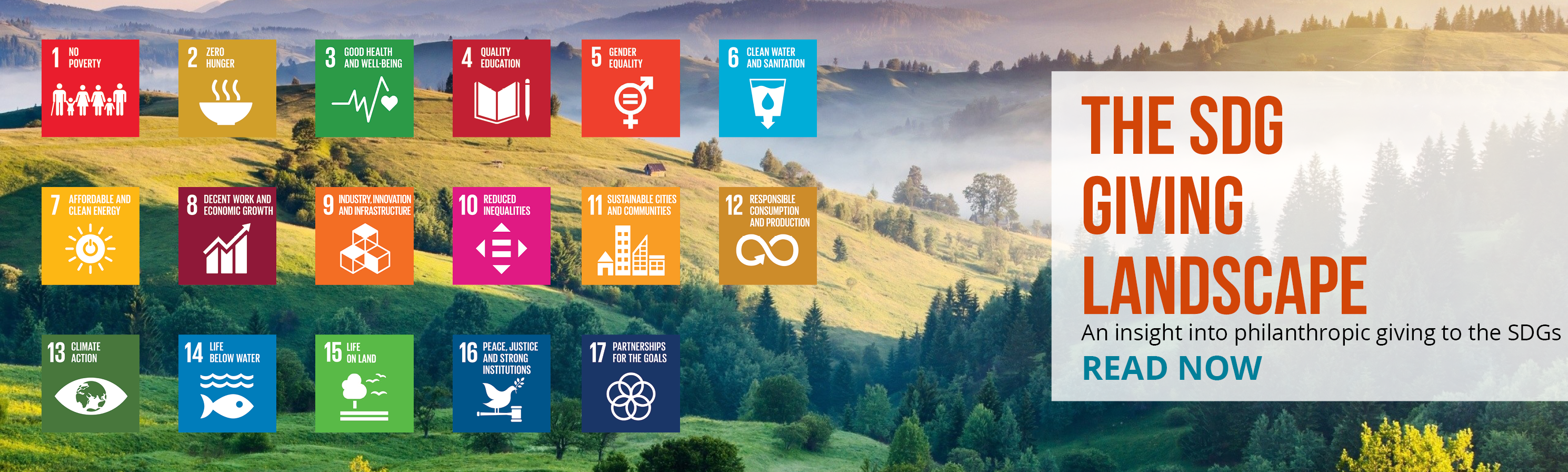 SDG giving landscape 3D banner